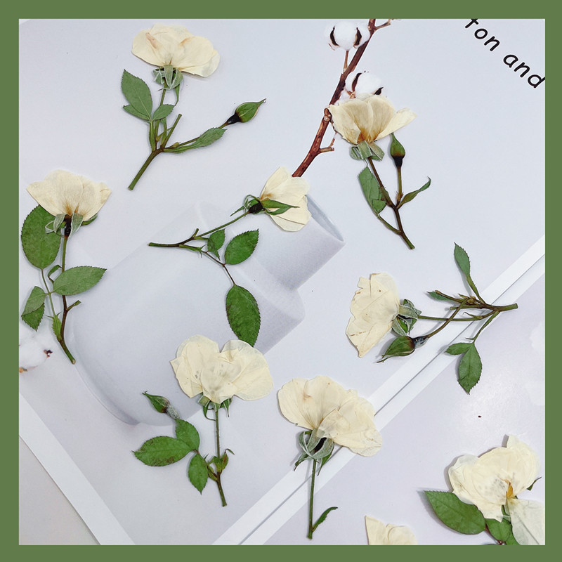 12 Pezzi, Rami di Rose Natural - Wedding Card Box recensione e prezzo